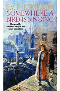 Somewhere A Bird Is Singing