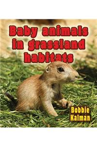 Baby Animals in Grassland Habitats