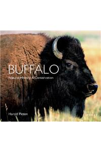 Buffalo