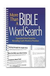 More Than a Bible Word Search