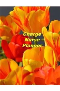 Charge Nurse Planner