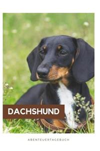 Dachshund AbenteuerTagebuch