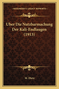 Uber Die Nutzbarmachung Der Kali-Endlaugen (1913)
