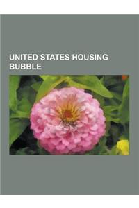 United States Housing Bubble