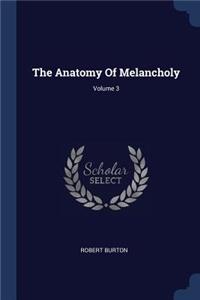 The Anatomy Of Melancholy; Volume 3
