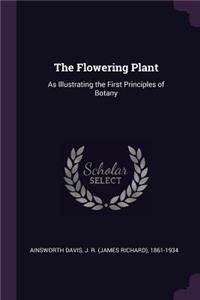 The Flowering Plant