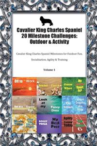 Cavalier King Charles Spaniel 20 Milestone Challenges