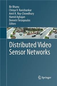 Distributed Video Sensor Networks