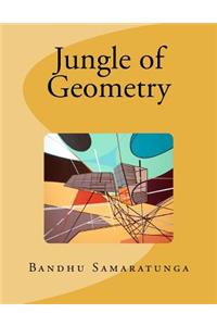 Jungle of Geometry