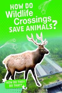 How Do Wildlife Crossings Save Animals?