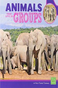 Animals That Live in Groups