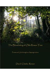 Blossoming of Olde Rowan Tree