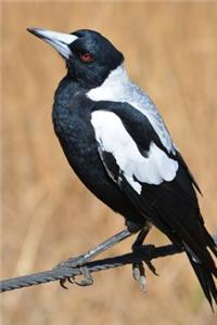 Mind Blowing Australian Magpi 200 page lined journal