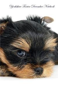Yorkshire Terrier December Notebook Yorkshire Terrier Record, Log, Diary, Special Memories, To Do List, Academic Notepad, Scrapbook & More