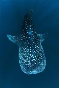 The Whale Shark Journal