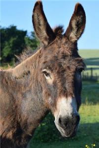 Cute Donkey Animal Journal