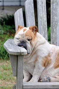 Let Sleeping Dogs Lie Journal