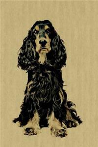 English Cocker Spaniel