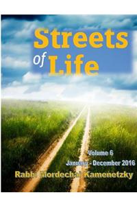 Streets of Life Collection Vol. 6 - 2016: Reflections on Life's Amazing Journeys and the Paths that Lead There