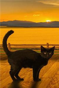 Cool Black Cat Against a Golden Sky Journal: 150 Page Lined Notebook/Diary