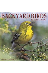 Backyard Birds 2019 Wall Calendar