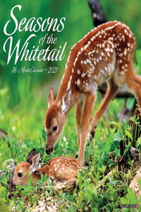 Seasons of the Whitetail 2021 Wall Calendar