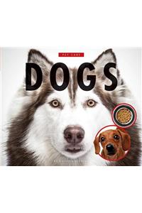 Caring for My Dog