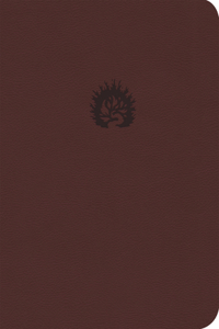 Ara a Bíblia de Estudo Da Fé Reformada, Capa Luxo, Vinho, Estojo, Portuguese Edition