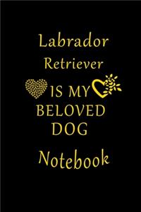 Labrador Retriever Is My Beloved Dog Notebook