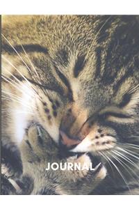 Journal
