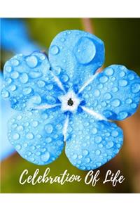 Celebration Of Life