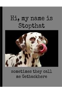 Hi, My Name Is Stopthat Sometimes They Call Me Getbackhere