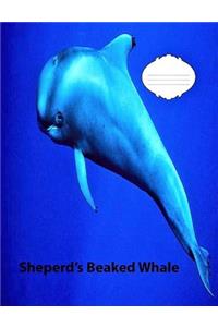 Shepherd's Beaked Whale Wide Ruled Line Paper Composition Book