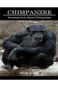 Amazing Facts about Chimpanzee