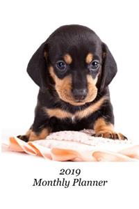 2019 Monthly Planner: Dachshund Puppy Cover - Includes Major U.S. Holidays and Sporting Events