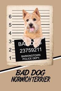 Bad Dog Norwich Terrier