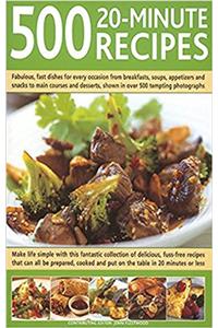 500 20 MINUTE RECIPES