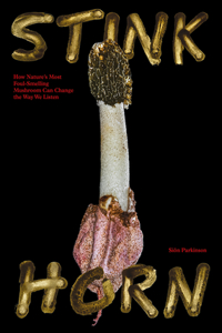 Stinkhorn