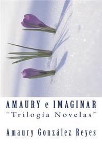 Amaury E Imaginar 