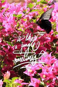 It's like a jungle sometimes