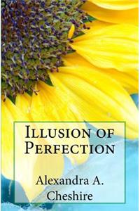 Illusion of Perfection