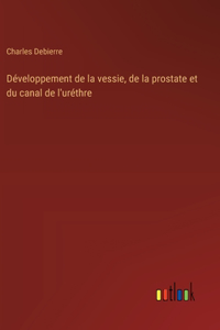 Développement de la vessie, de la prostate et du canal de l'uréthre