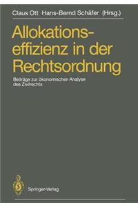 Allokationseffizienz in Der Rechtsordnung