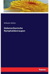 Südamerikanische Nymphalidenraupen