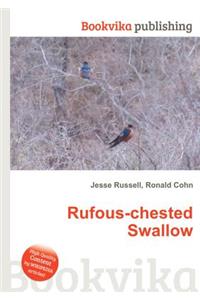 Rufous-Chested Swallow