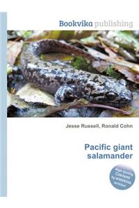 Pacific Giant Salamander
