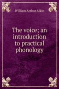voice; an introduction to practical phonology