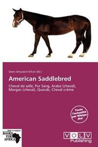 American Saddlebred