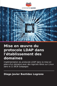 Mise en oeuvre du protocole LDAP dans l'établissement des domaines