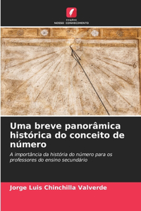 Uma breve panorâmica histórica do conceito de número
